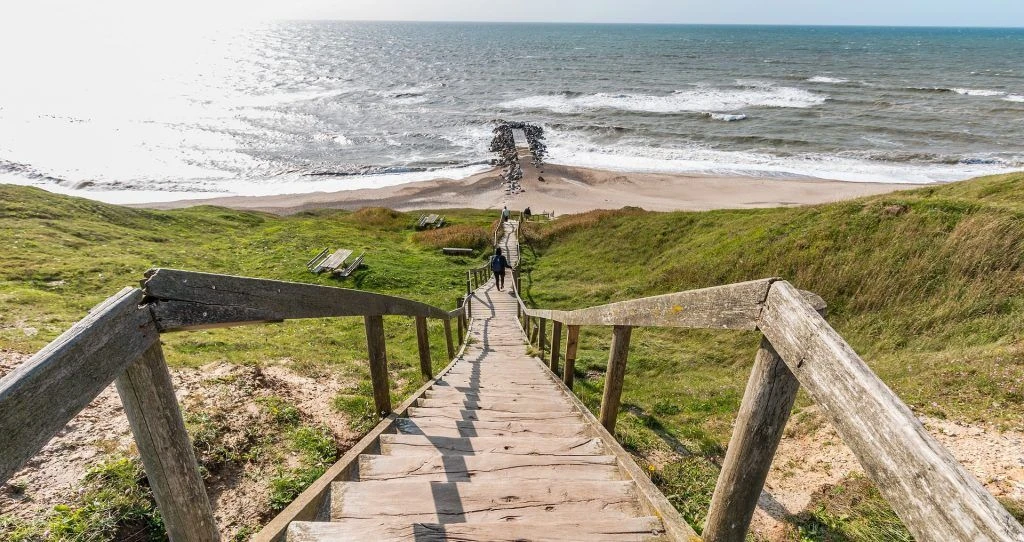 Auswandern nach Dänemark