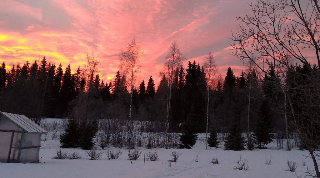 Auswandern nach Schweden: Schnee, Sonne, Wälder
